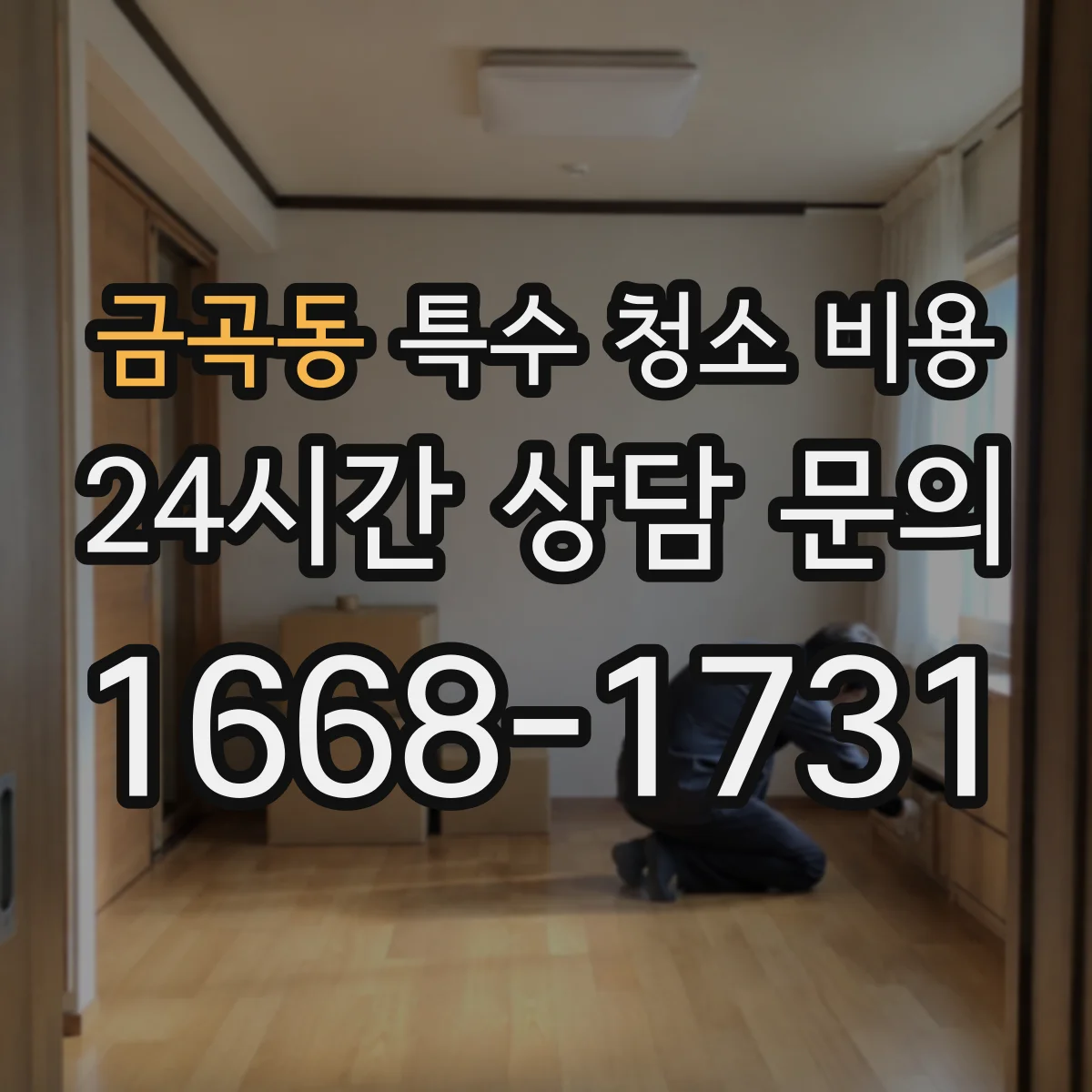 금곡동 특수 청소 비용