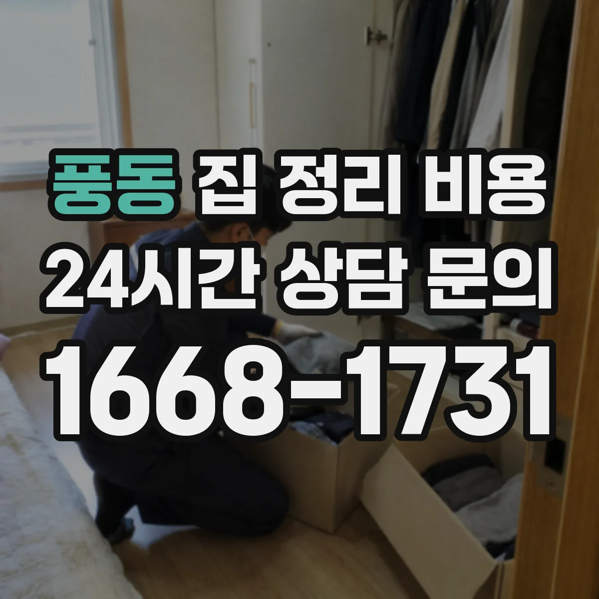 풍동 집 정리 비용
