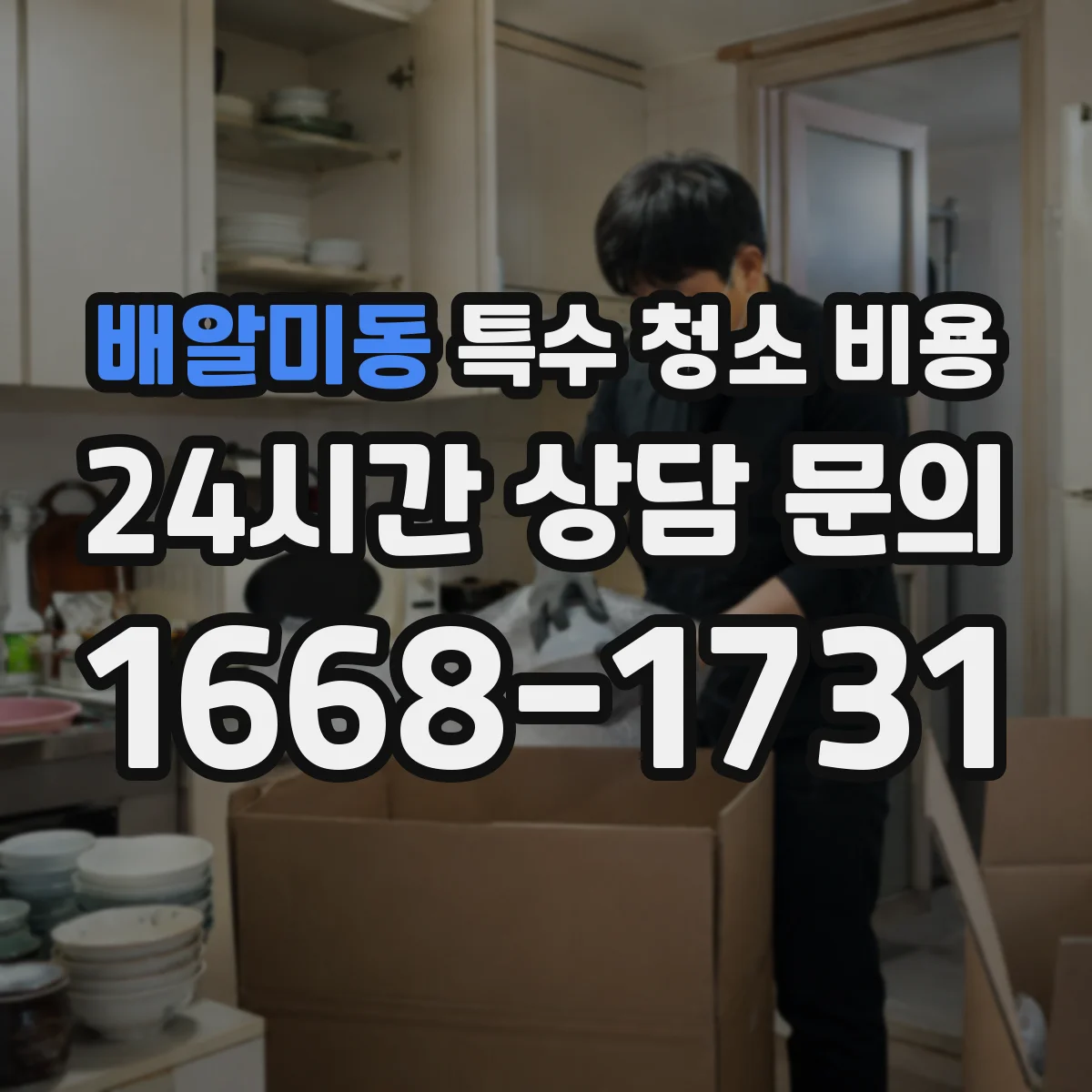 배알미동 특수 청소 비용