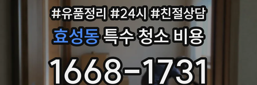 효성동 특수 청소 비용