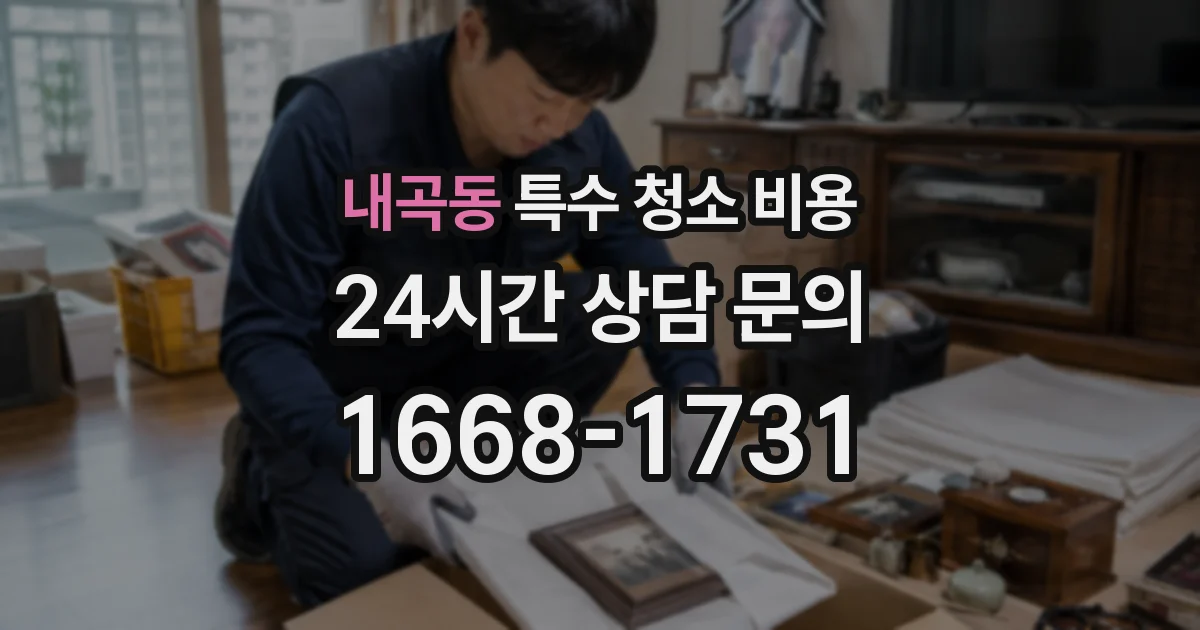 내곡동 특수 청소 비용
