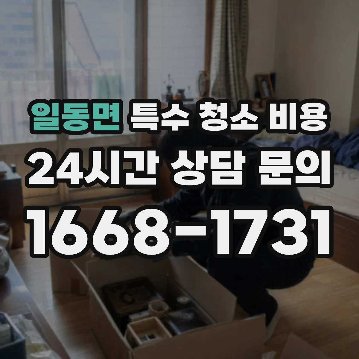 일동면 특수 청소 비용