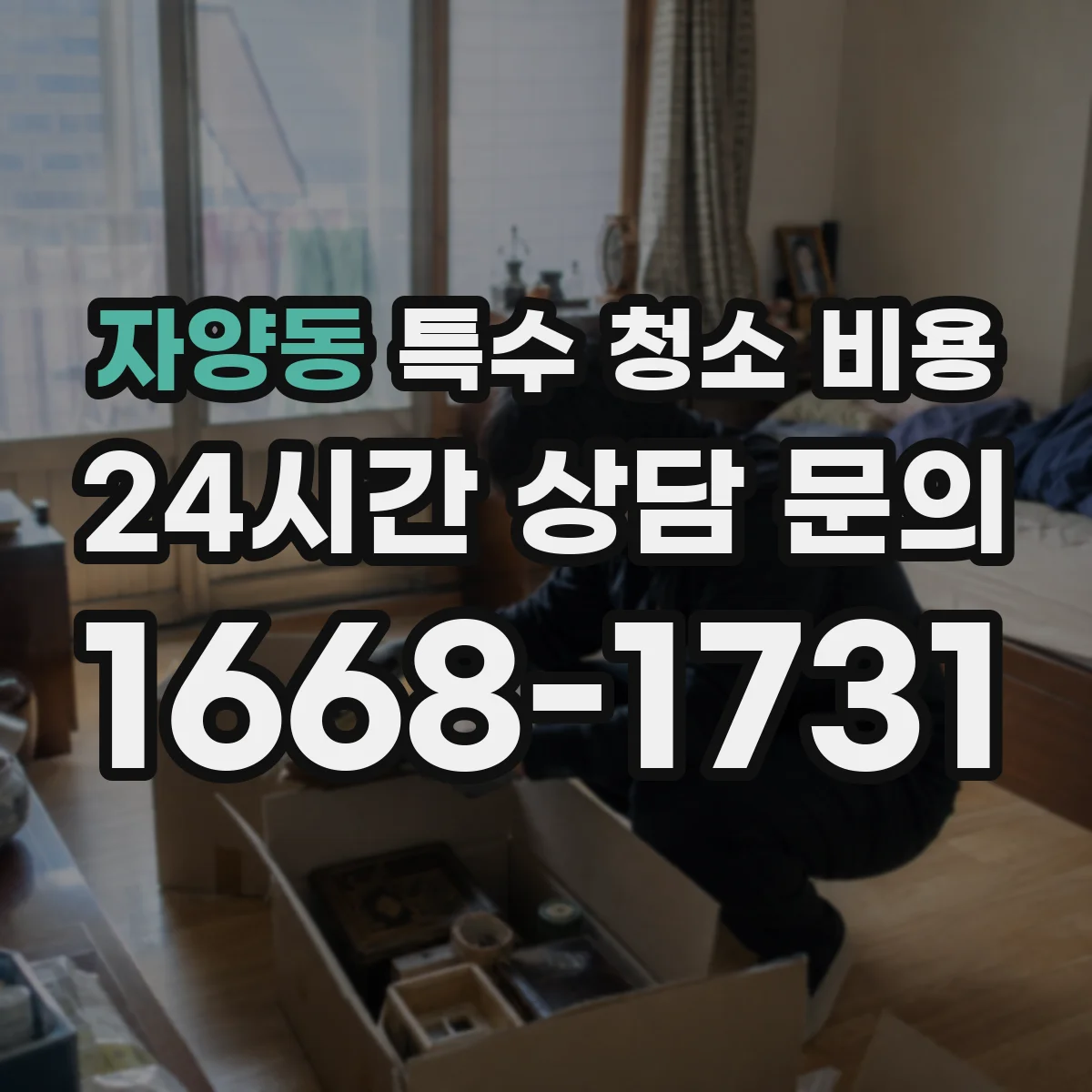 자양동 특수 청소 비용
