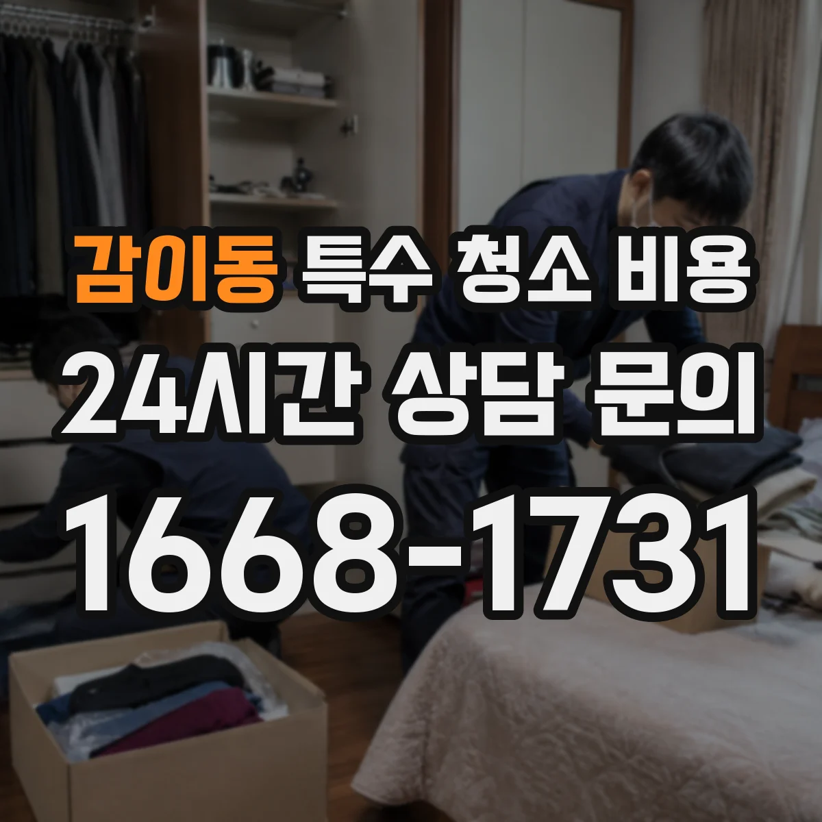 감이동 특수 청소 비용