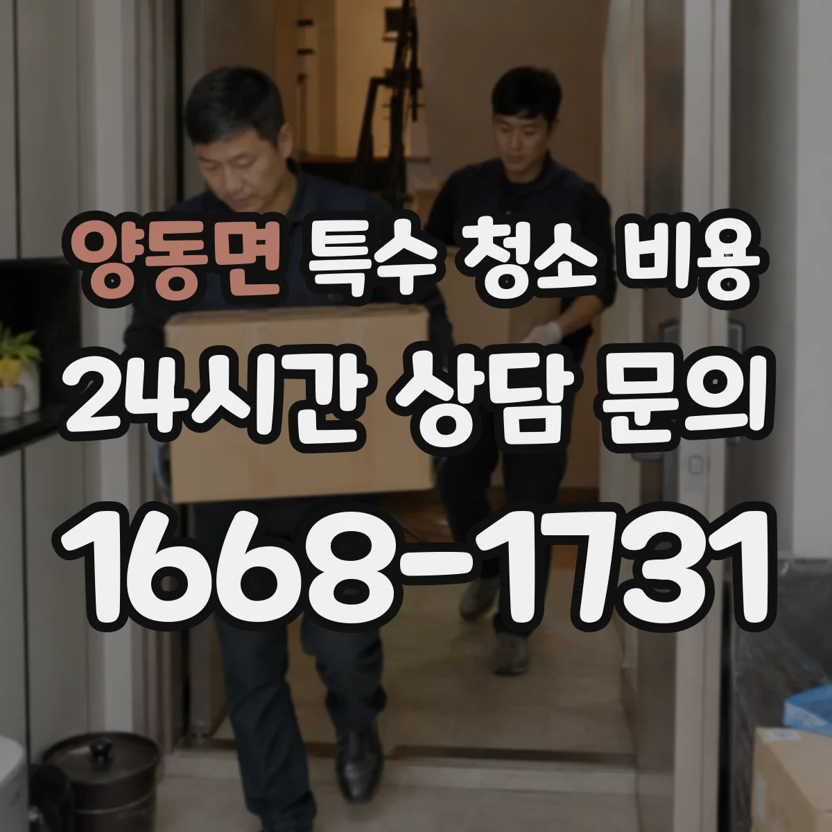 양동면 특수 청소 비용