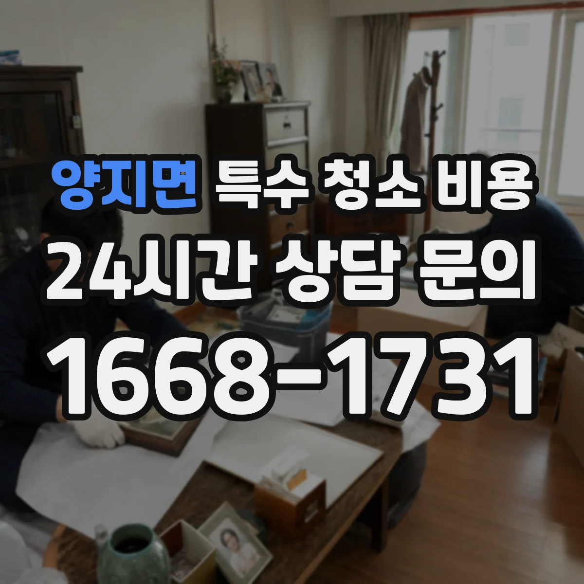 양지면 특수 청소 비용