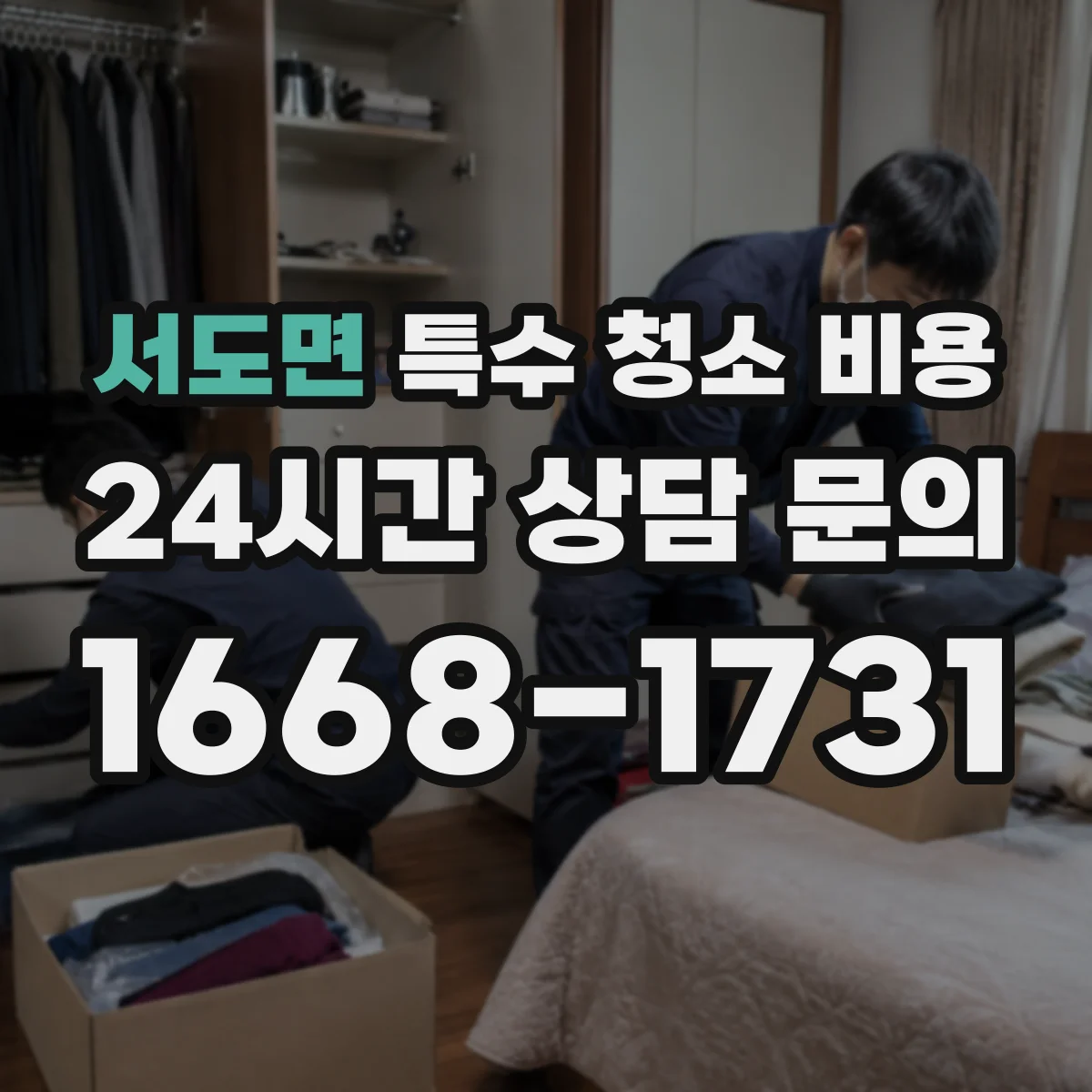 서도면 특수 청소 비용