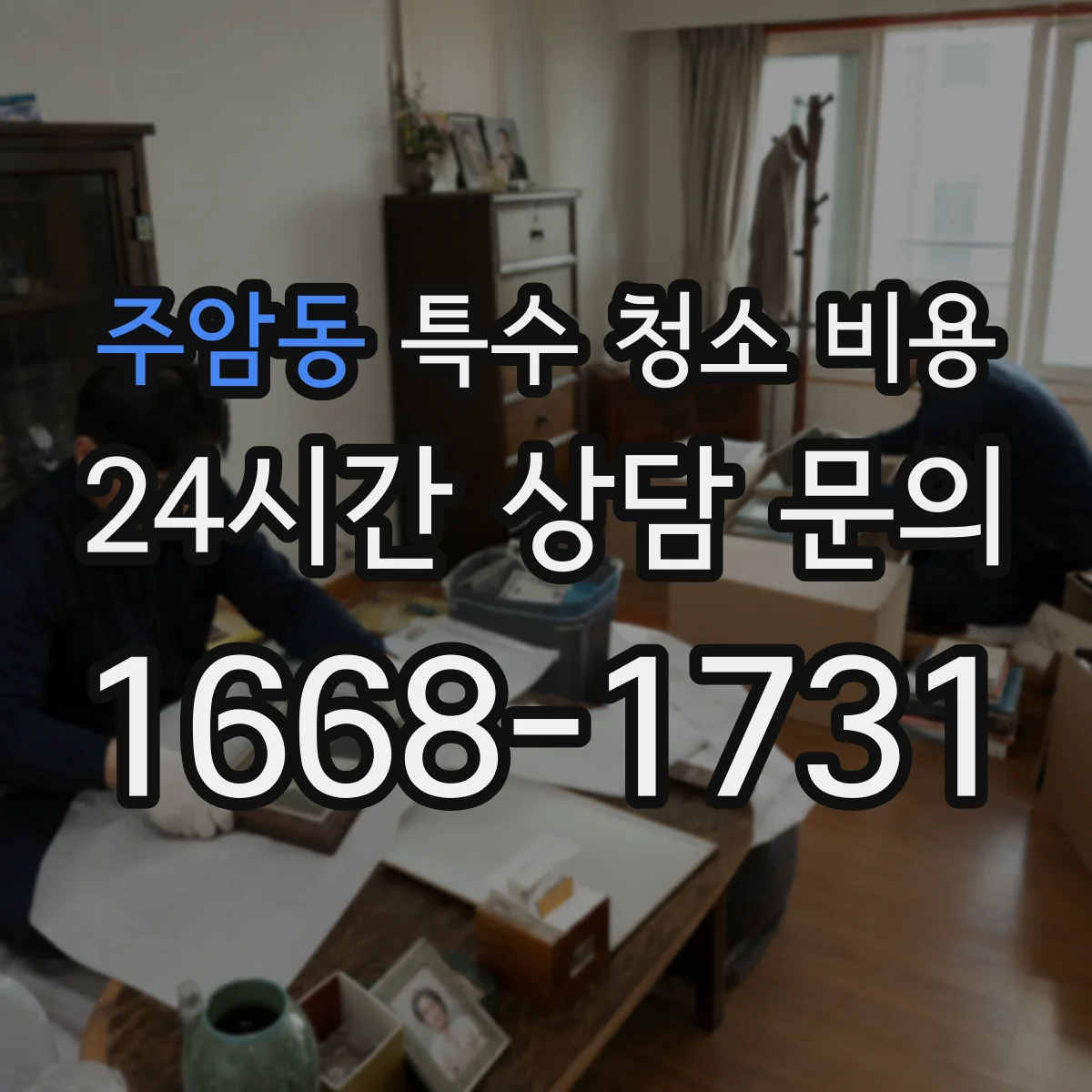 주암동 특수 청소 비용