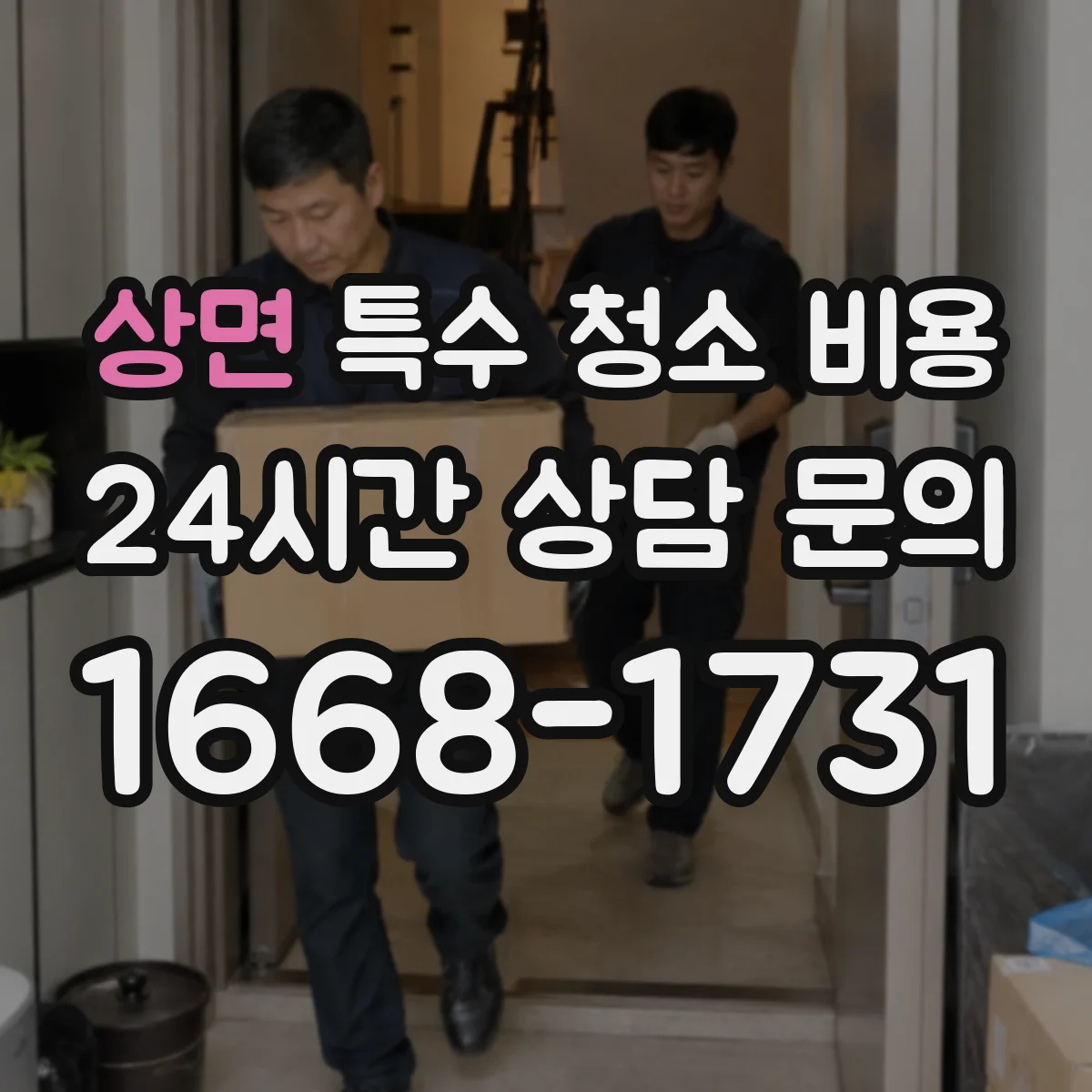 상면 특수 청소 비용