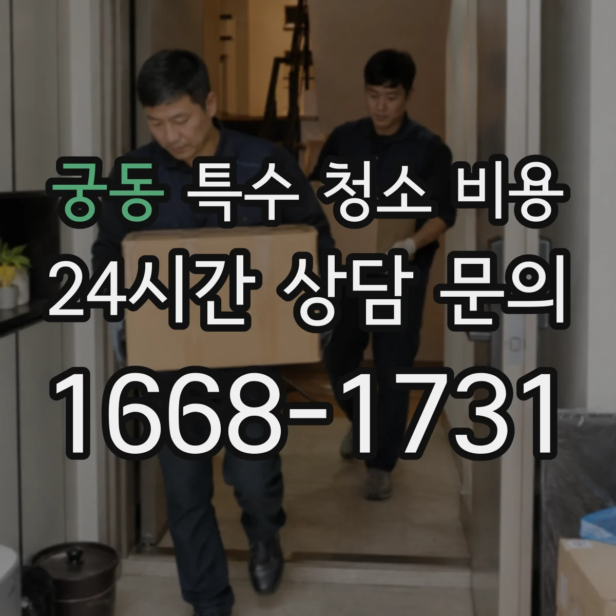 궁동 특수 청소 비용
