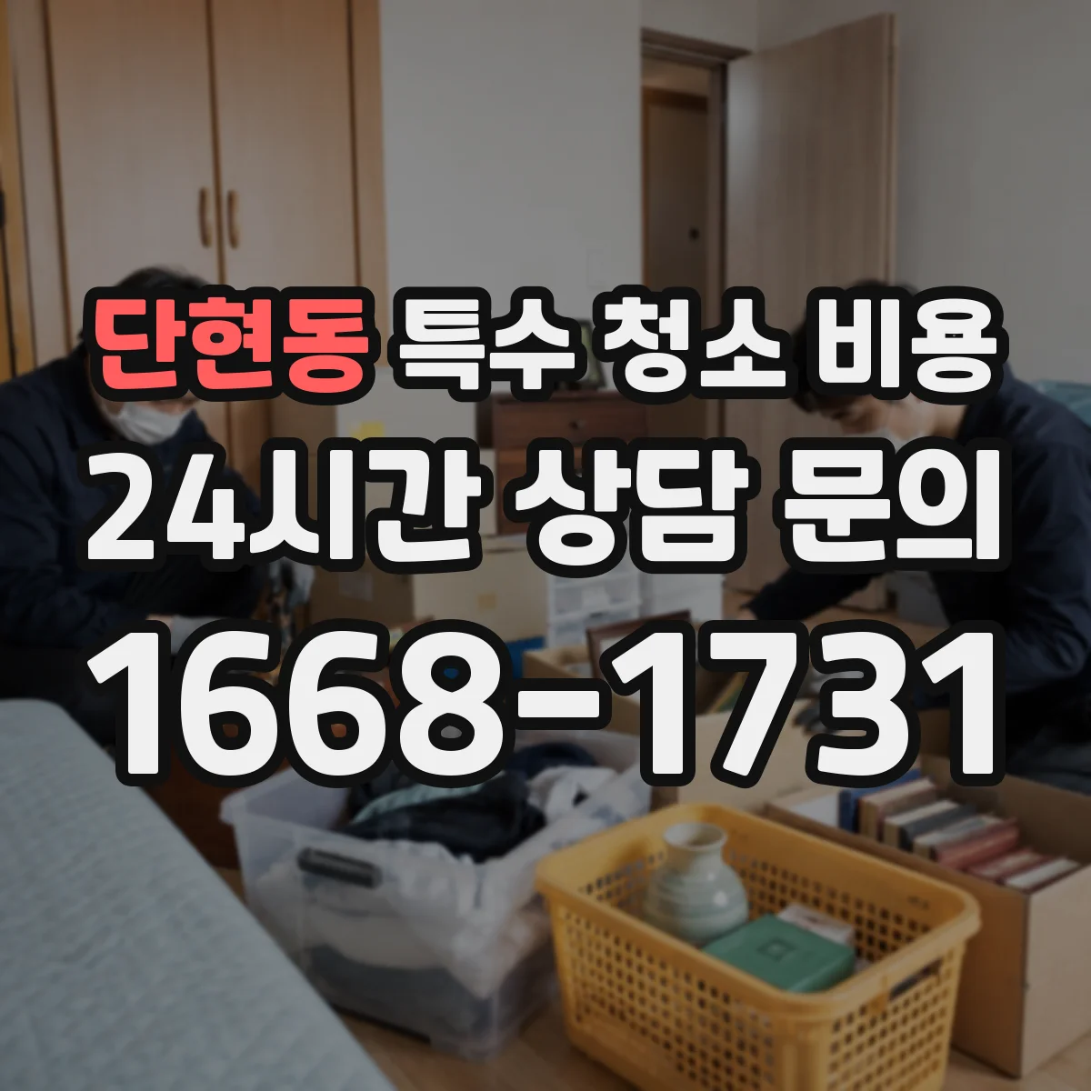 단현동 특수 청소 비용