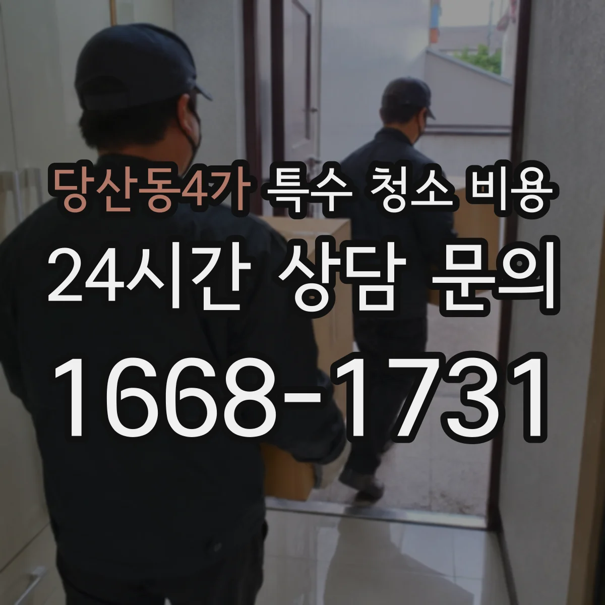 당산동4가 특수 청소 비용