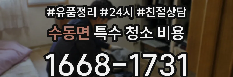 수동면 특수 청소 비용