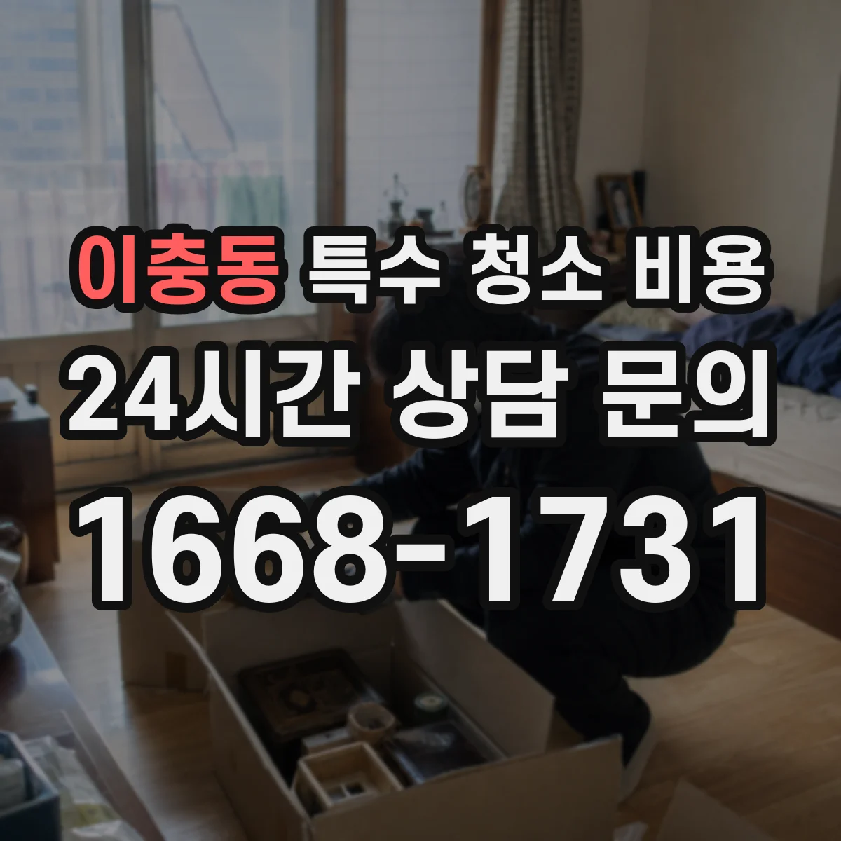 이충동 특수 청소 비용
