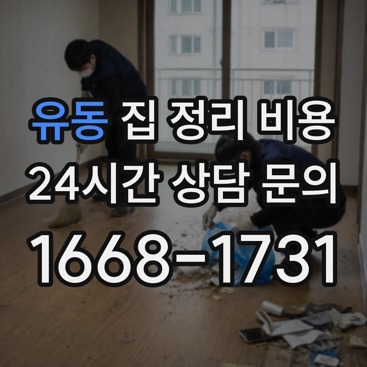 유동 집 정리 비용