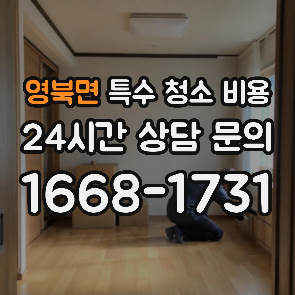 영북면 특수 청소 비용