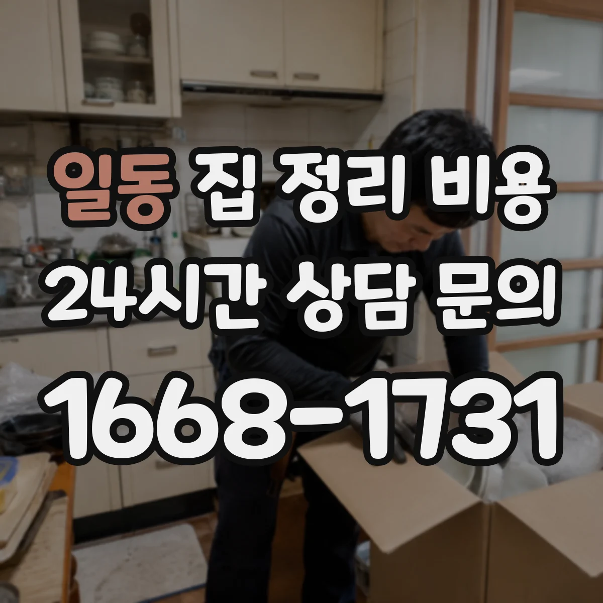 일동 집 정리 비용