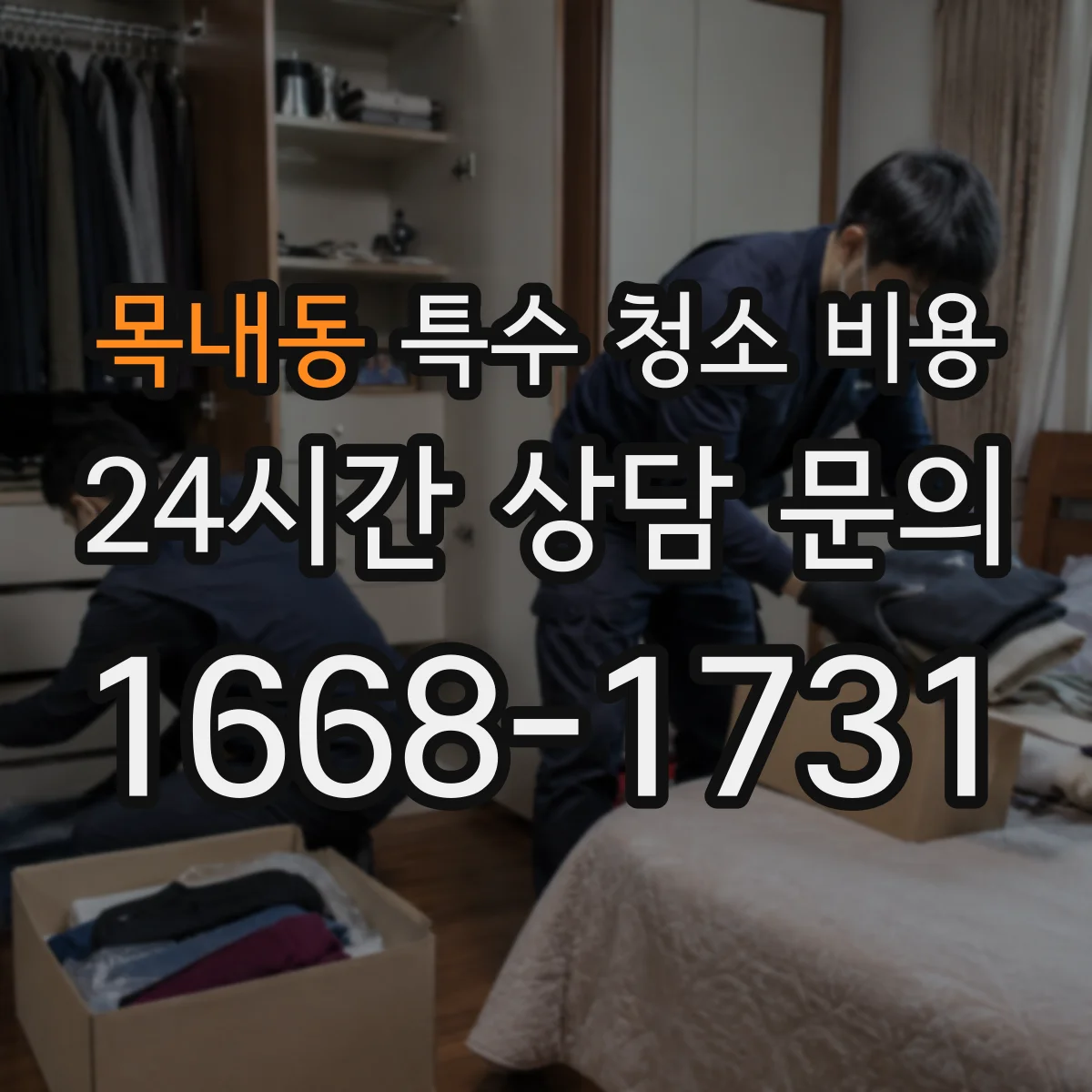 목내동 특수 청소 비용