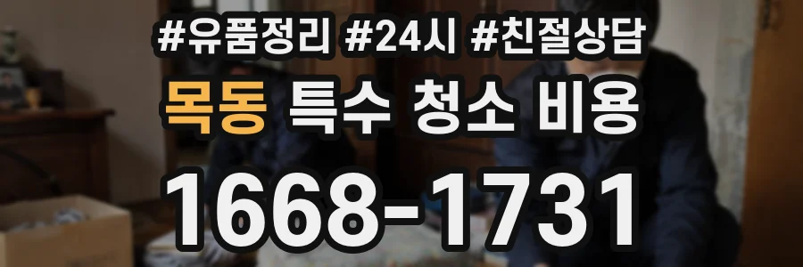목동 특수 청소 비용