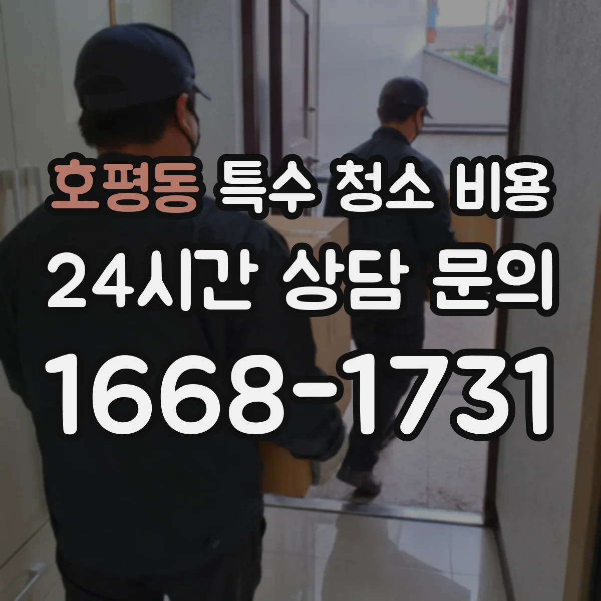 호평동 특수 청소 비용