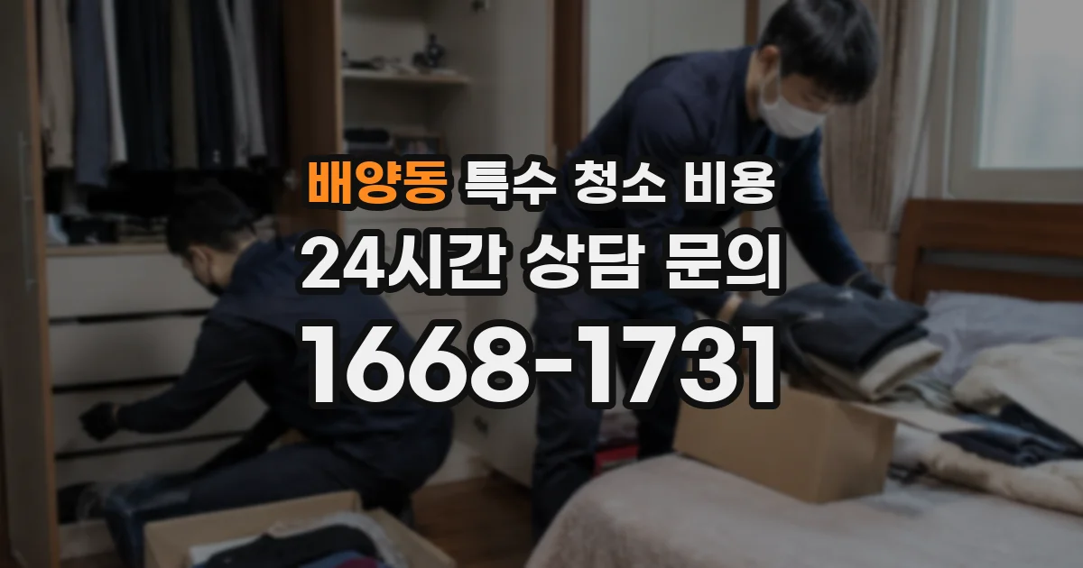배양동 특수 청소 비용