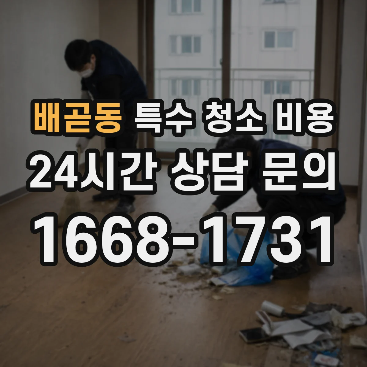 배곧동 특수 청소 비용