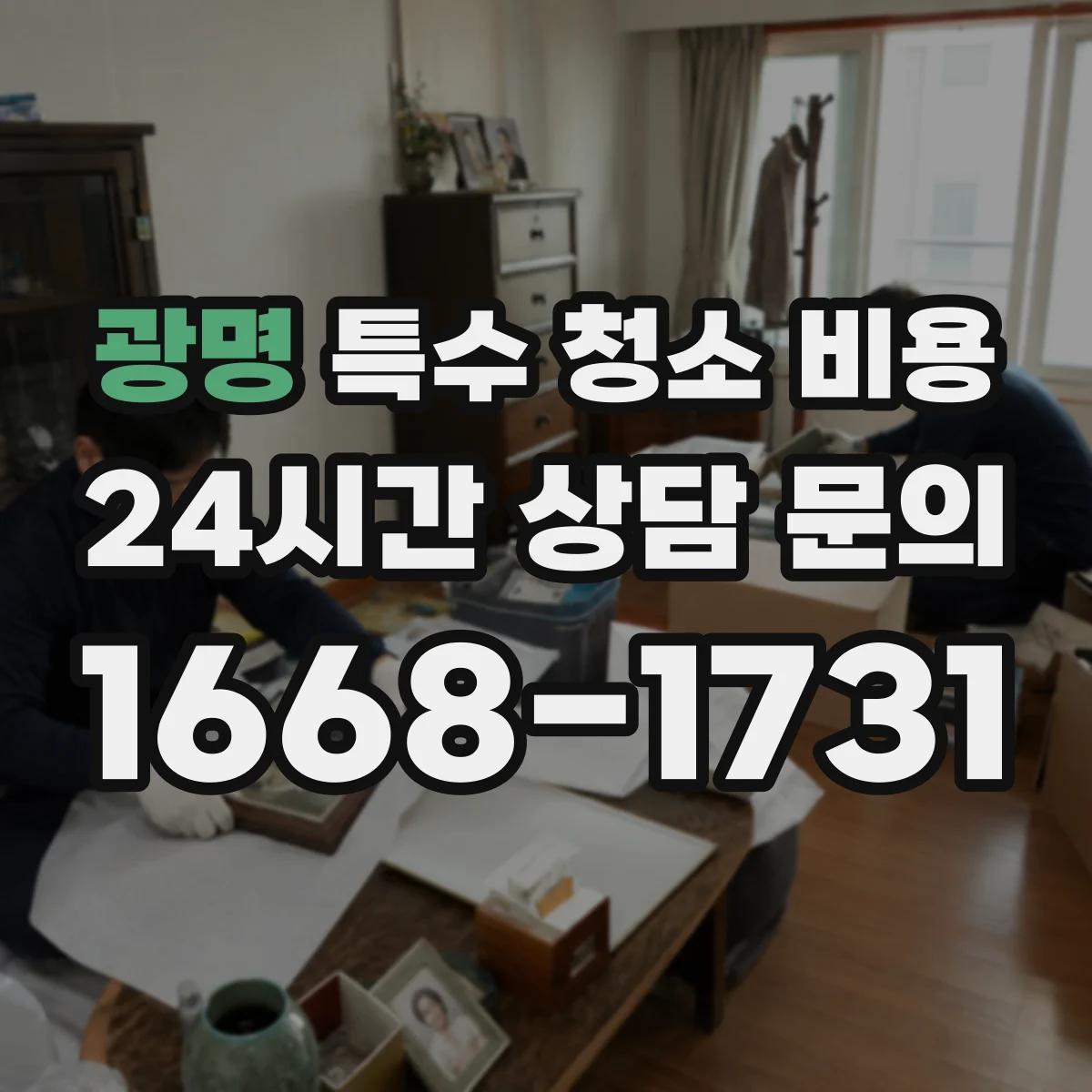 광명 특수 청소 비용