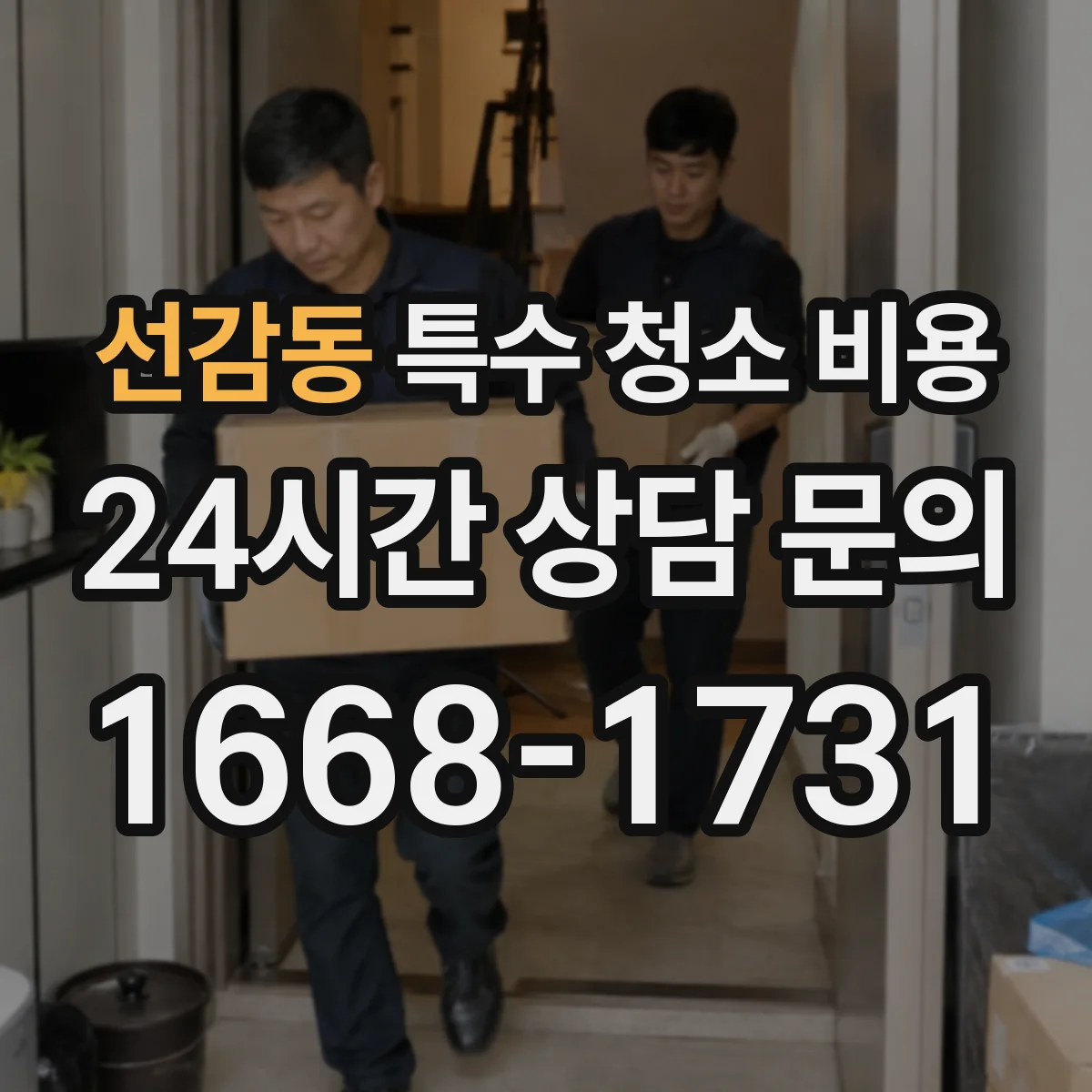 선감동 특수 청소 비용