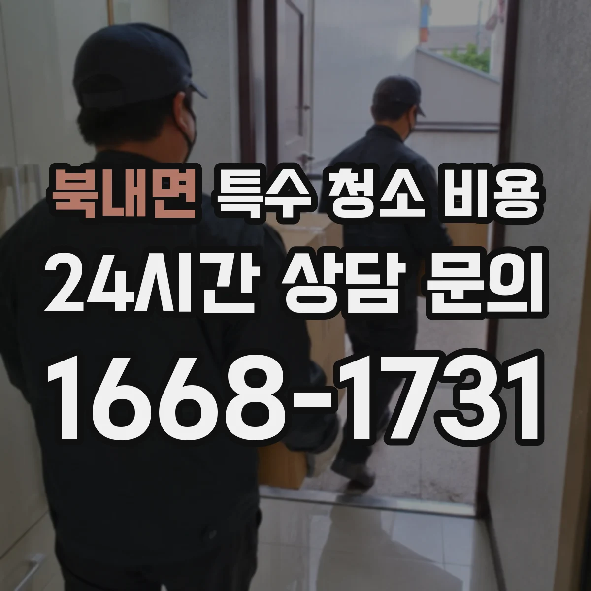 북내면 특수 청소 비용