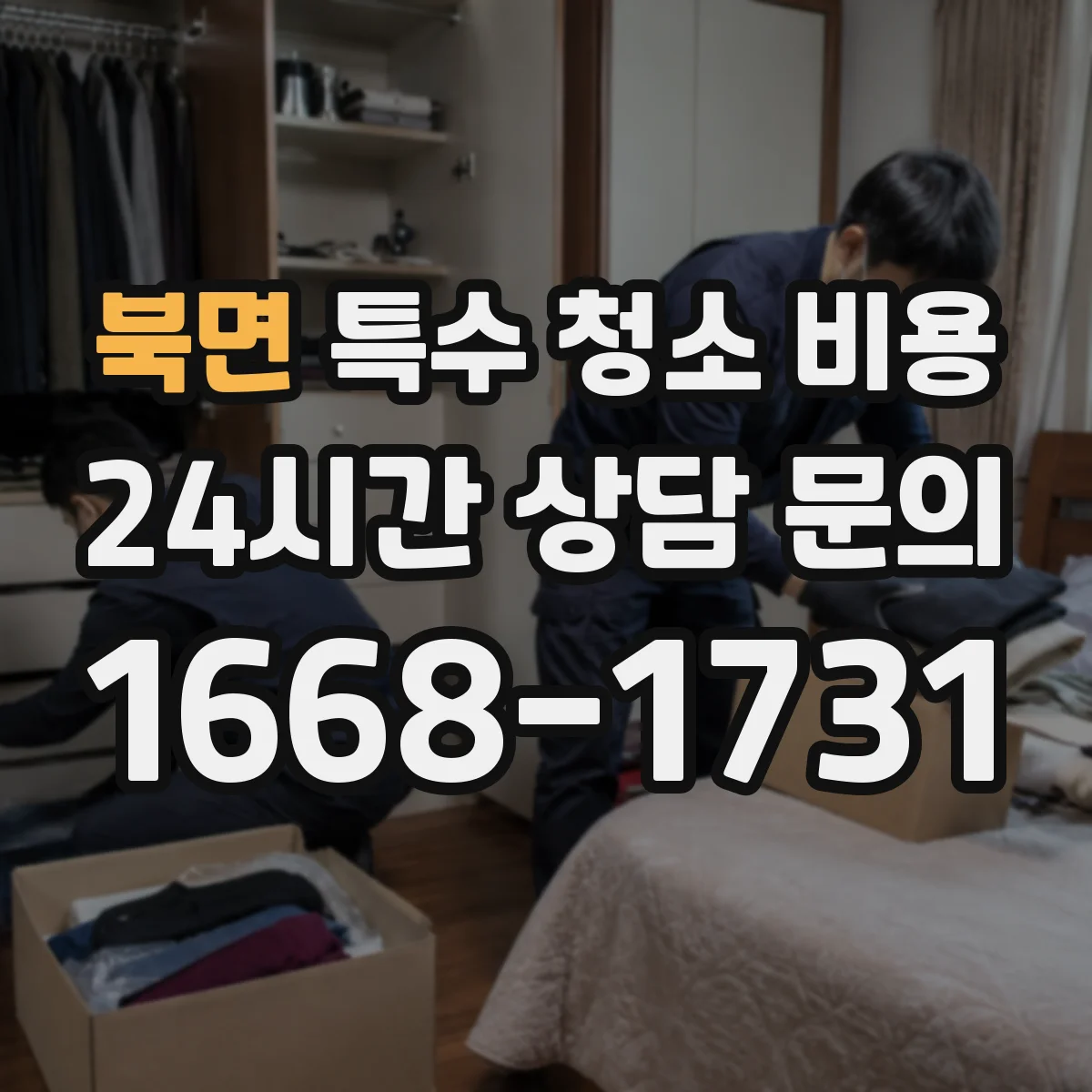 북면 특수 청소 비용
