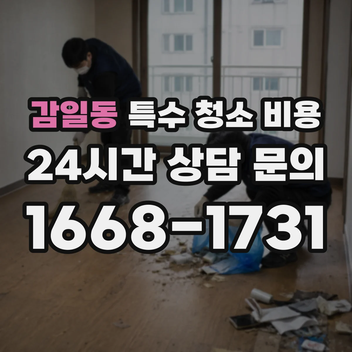 감일동 특수 청소 비용