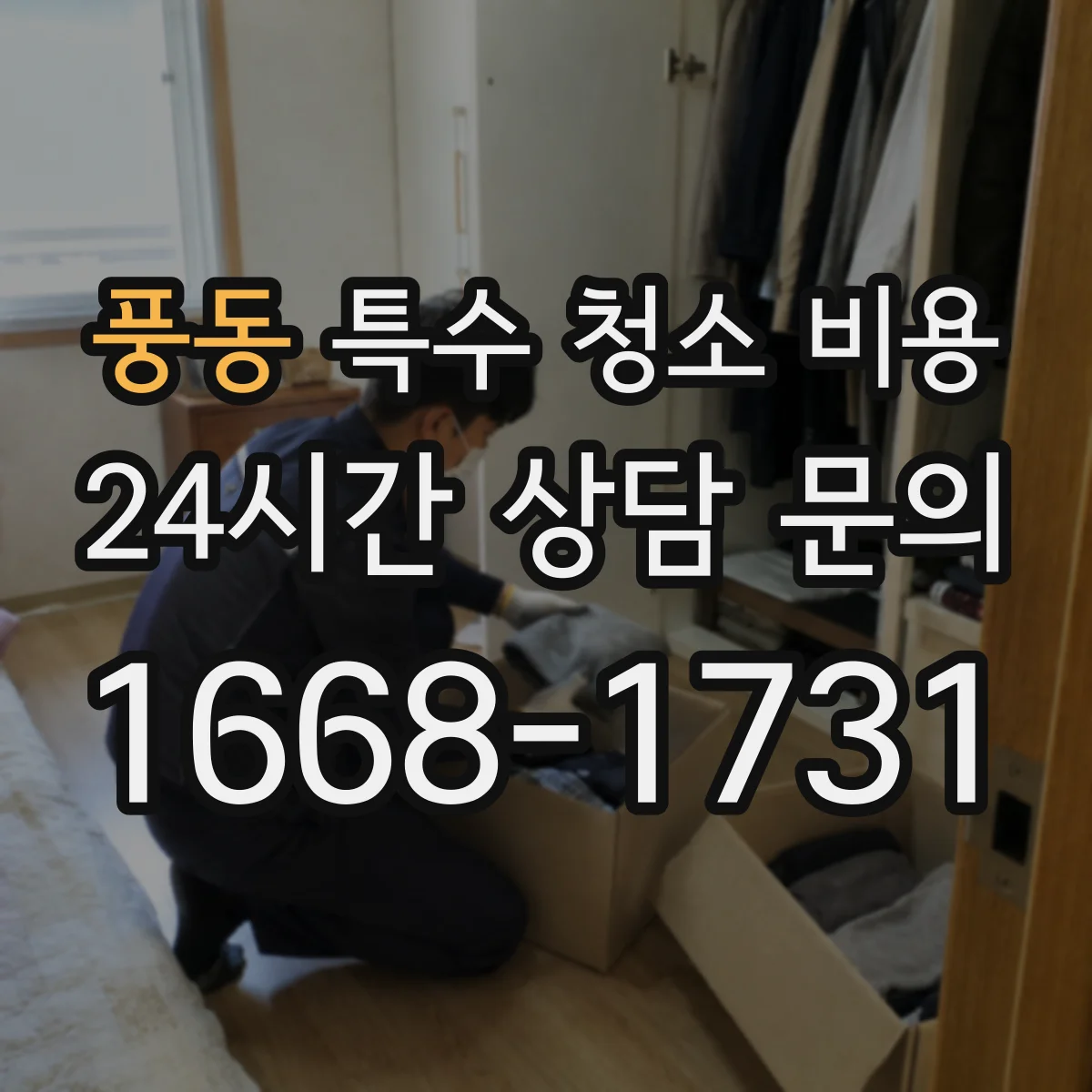 풍동 특수 청소 비용