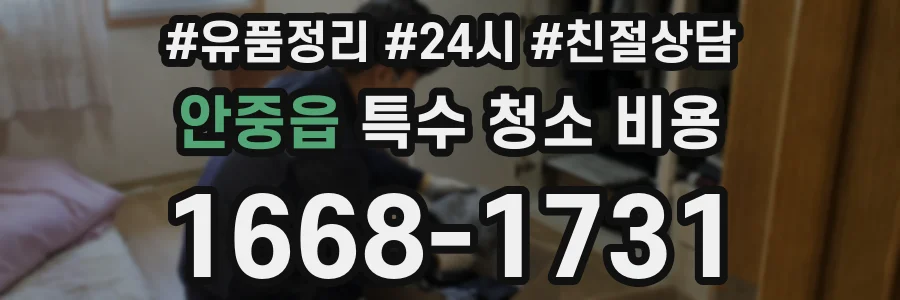 안중읍 특수 청소 비용