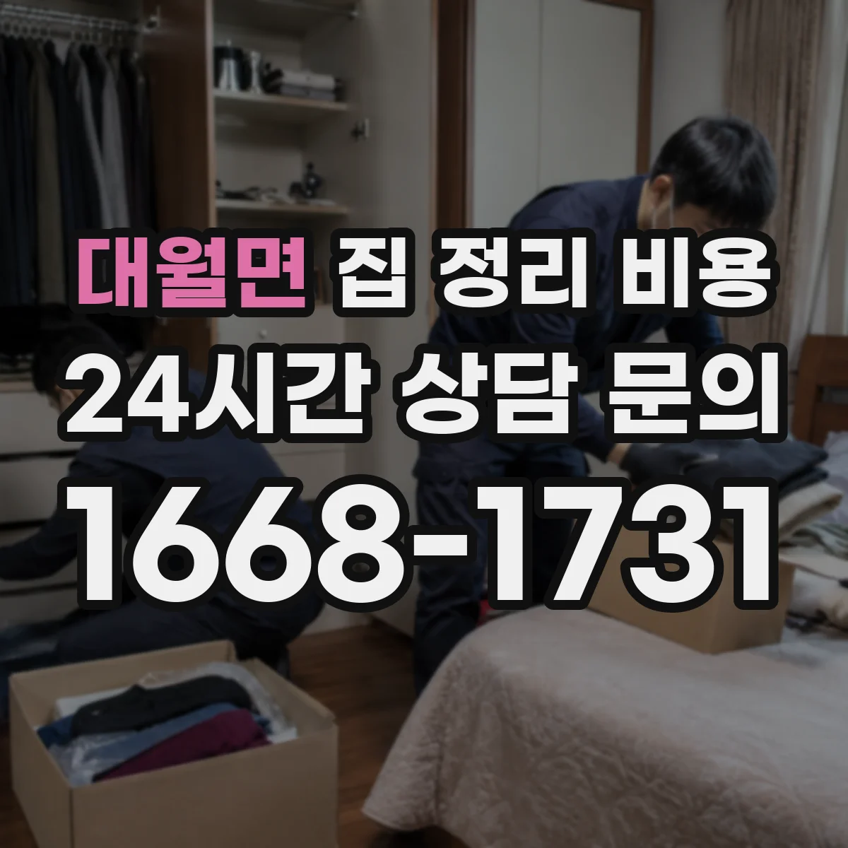 대월면 집 정리 비용