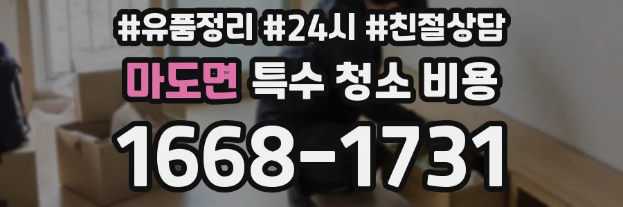 마도면 특수 청소 비용