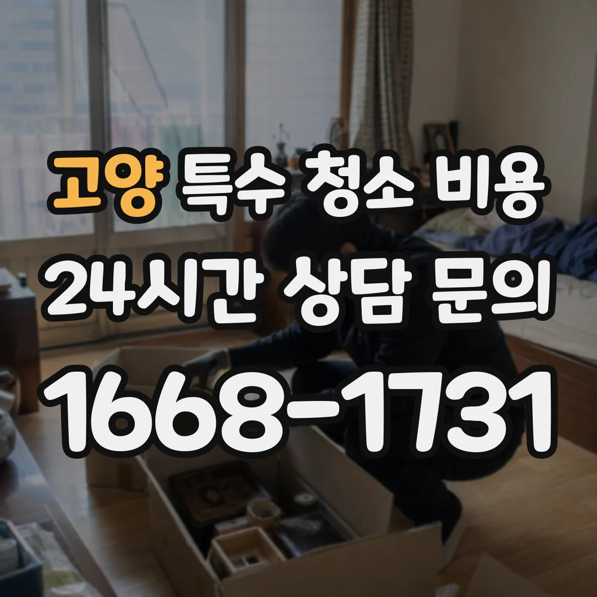 고양 특수 청소 비용