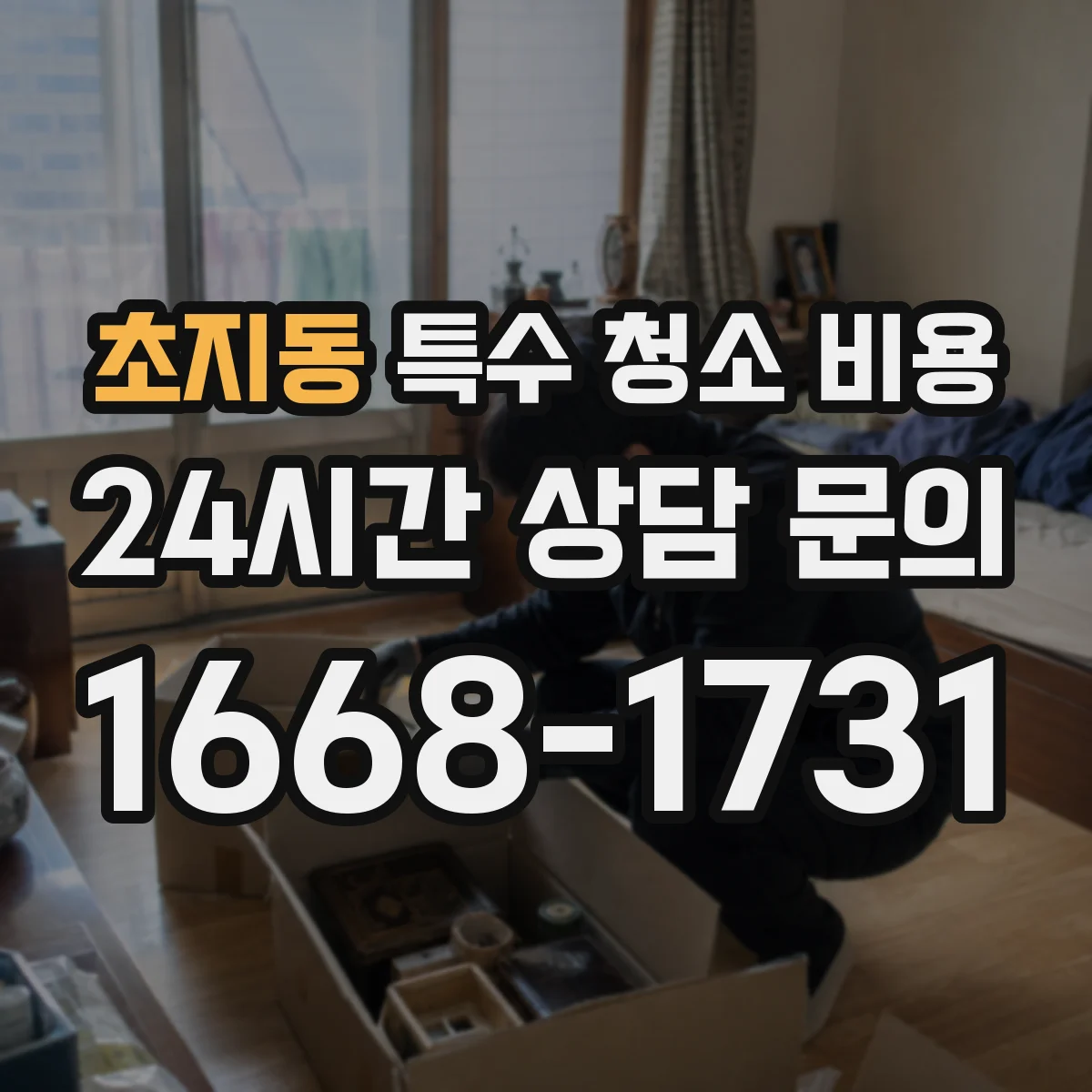 초지동 특수 청소 비용