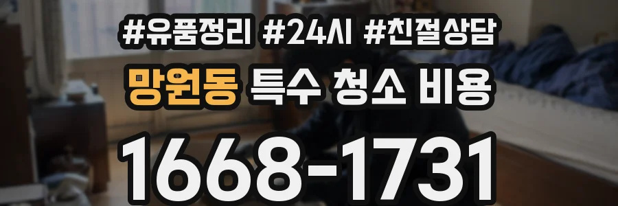망원동 특수 청소 비용