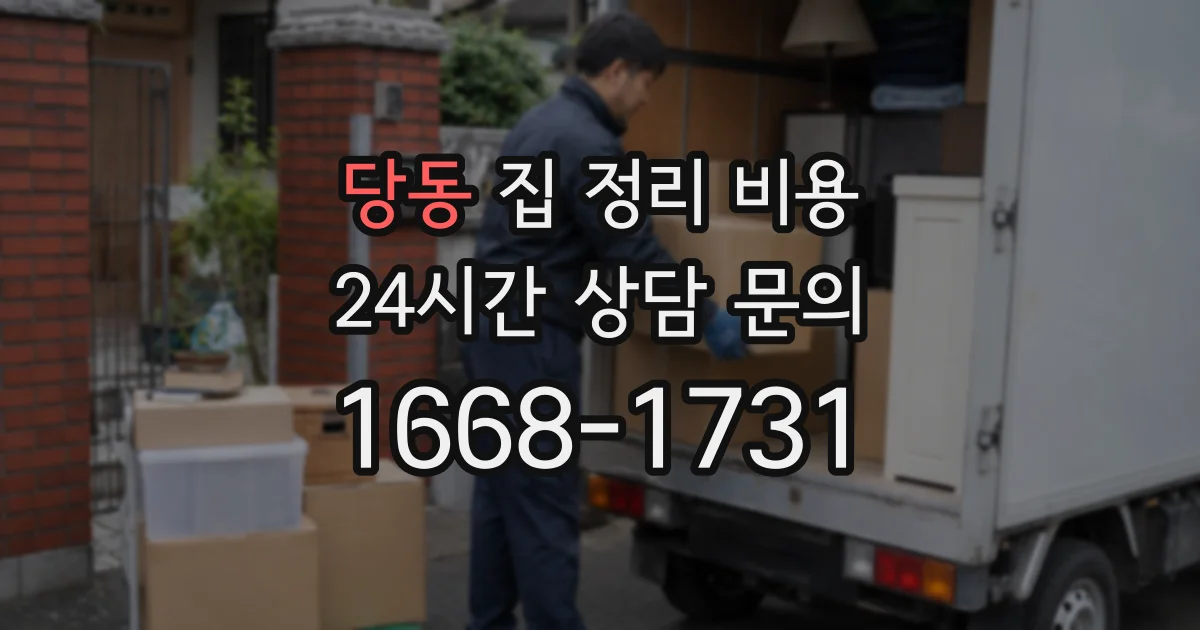 당동 집 정리 비용