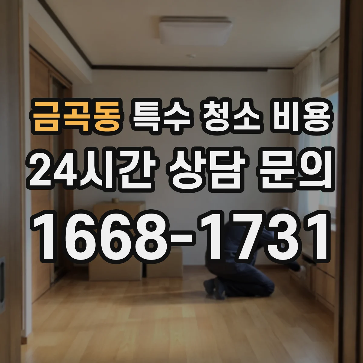 금곡동 특수 청소 비용