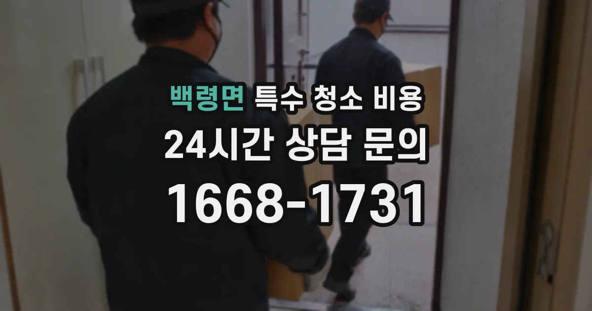 백령면 특수 청소 비용