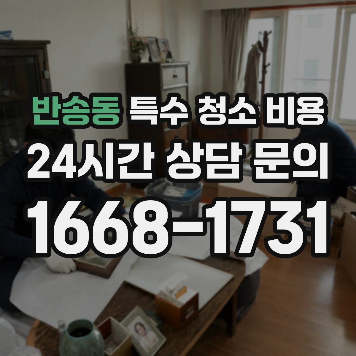 반송동 특수 청소 비용