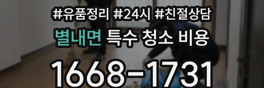 별내면 특수 청소 비용