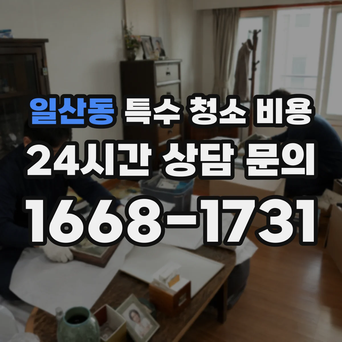 일산동 특수 청소 비용