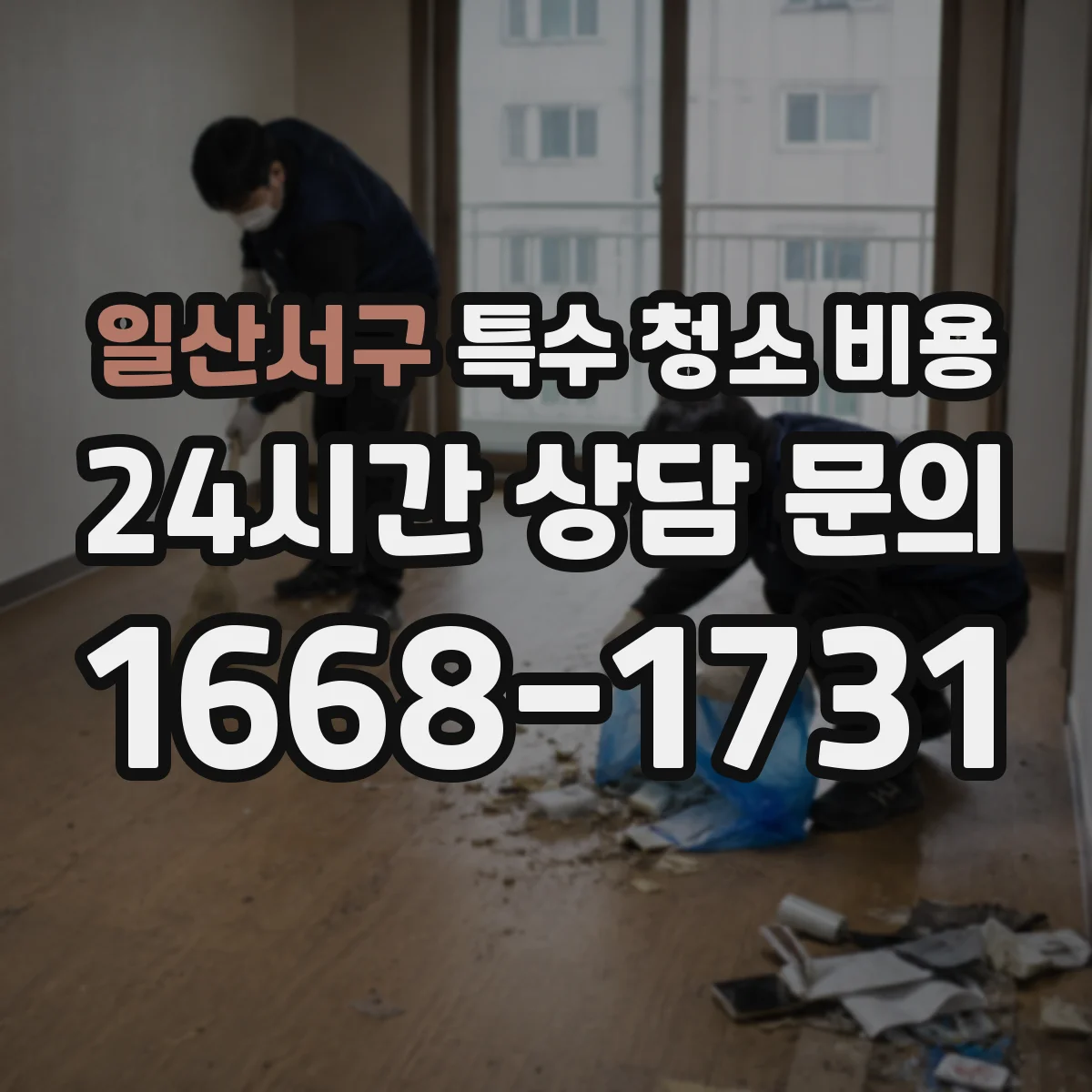 일산서구 특수 청소 비용