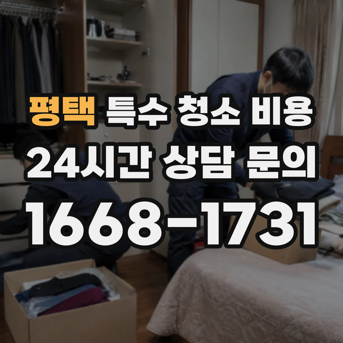 평택 특수 청소 비용