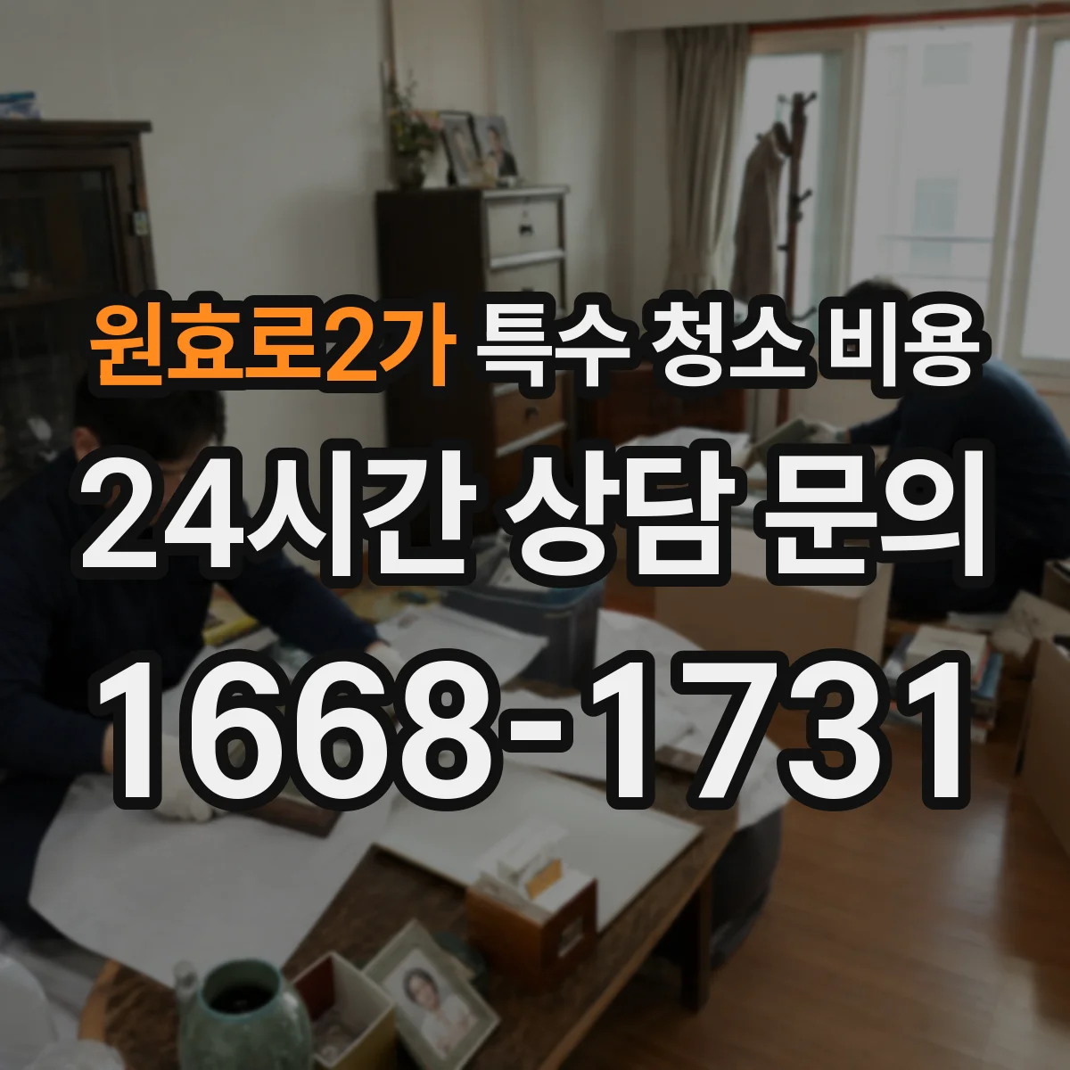 원효로2가 특수 청소 비용