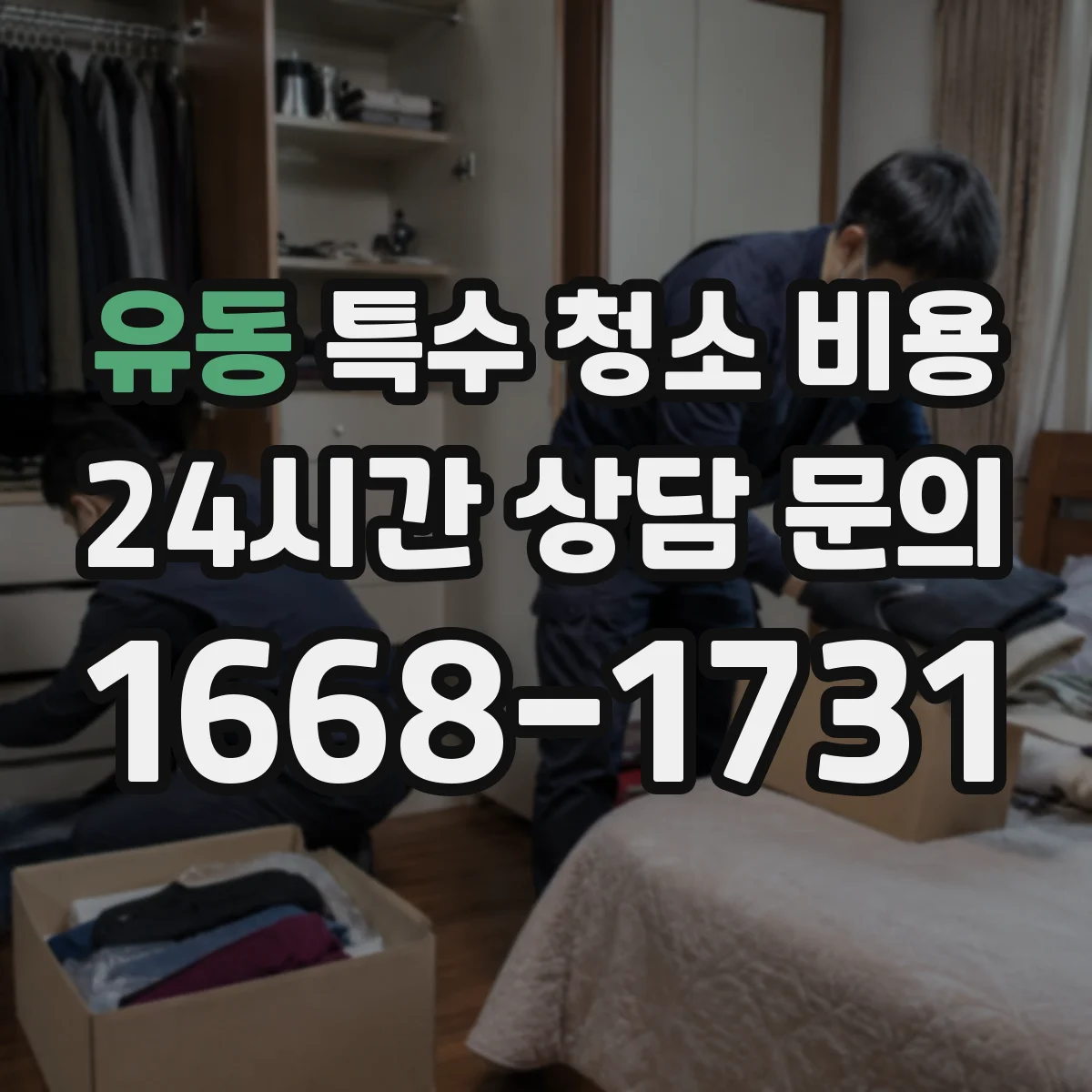유동 특수 청소 비용