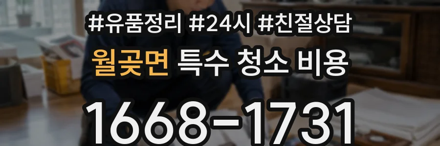 월곶면 특수 청소 비용