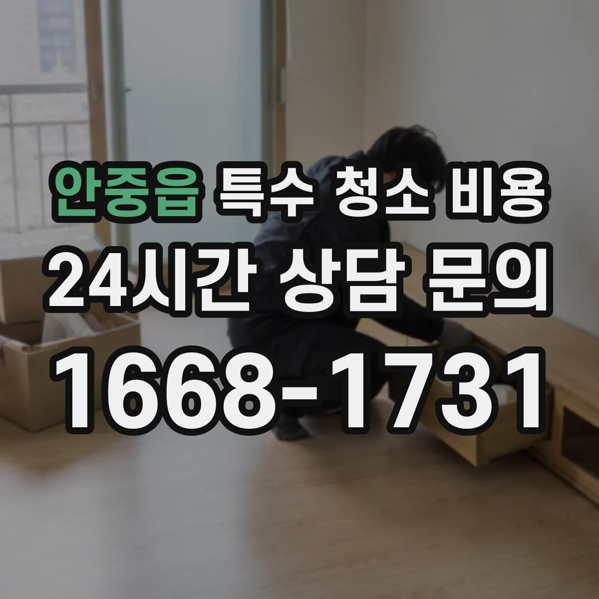 안중읍 특수 청소 비용